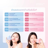 INGU SkinLock Cooling Pad โทนเนอร์แพด สูตร Hydrating และ Brightening