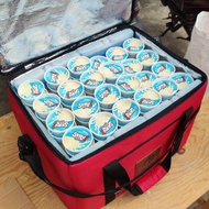 Ice Cream Box Ice Cream 8 Liter Large Cooler Bag Full Set TERA