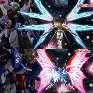 Metal Robot魂 突擊自由高達 命運高達  re-coordinate 光翼 光之翼 Wing of lights Strike Freedom Gundam Destiny Gundam G