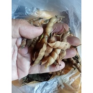 kardis/kadyos pigeon pea kadyos na mabango new harvest