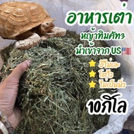 Ground Timothy Grass Turtle Food Rabbit Cookies 10 Kg