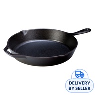 LODGE 12 Inch Seasoned Cast Iron Skillet