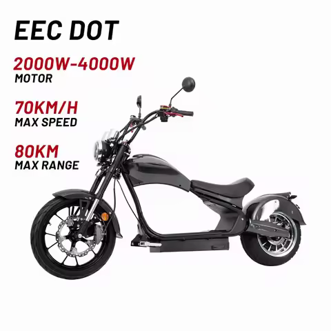 The US Canada Holland Warehouse Vintage Electric Bike Citycoco Scooter E Chopper