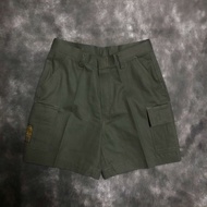 Cargo Shorts (Mechanic Style) 6 Pockets: Green