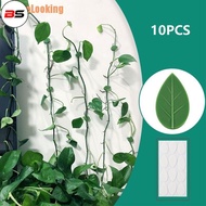 BS *# 10pcs Plant Fixture Clip Plant Climbing Wall Self-Adhesive Fastener Tied Fixture
