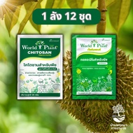 World Plant คู่หูมหัศจรรย์ เวิลด์แพลนท์ แพ็คคู่ ยกลัง 12 ชุด