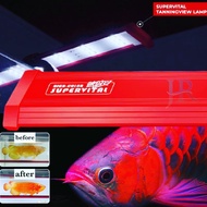 Tanning lamp view LED aquarium arowana Supervital red arowana 60 75 cm