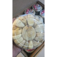 BUAH TIN (GRED AAA) STOK BARU 2025