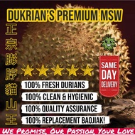 (Dukrian!) Pahang Highland Blackgold MSW Durian (420G+) 彭亨高山老树黑金猫山王