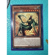 Asset Mountis Card