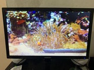Samsung 22吋 螢幕 monitor s22d300