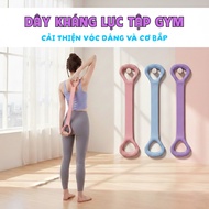 Gym Pull Bands, Arm Shoulder Resistance Bands, Gym Resistance Bands for Men and Women