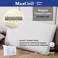 MaxCoil Livy Natural Latex Pillow / 100% Natural Latex / Back Sleeper / Side Sleeper / Anti Bacteria / Anti Dust Mites and Fungal / Hypoallergenic / Tencel Cover