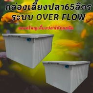 อ่างเลี้ยงปลา 65 ลิตร overflow ขนาด64xx44x31ซ. (กล่องสีขาวครีม) กะบะเลี้ยงปลา อ่างเลี้ยงปลา อ่างเลี้