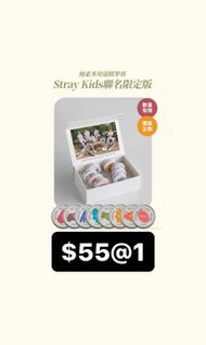夾 Stray kids nacific 小卡
