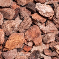 Pine Wood Chip / Pine Bark for Plants/Flowers 5 LITRE (High Quality AAA Pure ORGANIC Pine Wood) Suit