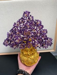 錢袋子+吸財金蟾 紫水晶發財樹