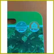 ╱ ▽ ◎ Bonito F1 (10 seeds) Hybrid Ampalaya by East West Seed