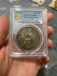 1909 坐洋 pcgs