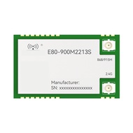 LR1121 LoRa Spread Spectrum Module Dual-Band 868Mhz 915Mhz 2.4G SMD TCXO SPI Module Sub-G CDEBYTE E8