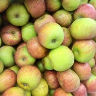 Buah Apel Apple Malang Segar 1 kg - Buah Lokal