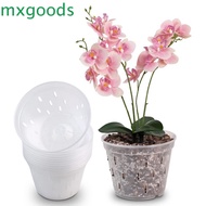 MXGOODS Orchid Pot Breathable Excellent Drainage Plastic Transparent Stomata Plant Pots