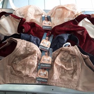 New BH Strait Sister Original Original Import size 34, 36, 38, 40, 42 - 34B