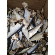 ikan tamban buju masin/kering 500g