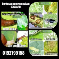 ♟►S7GUARD  : KAWALAN SERANGGA DAN BAJA HERBA