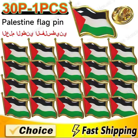 1-30PC Palestine National Flag Pin Country Flag Metal Lapel Pin Palestine brooch Badges For Clothes 