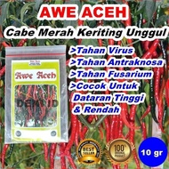 WF Benih Cabe Awe Aceh Bibit CMK Cabai Merah Keriting 10 Gram