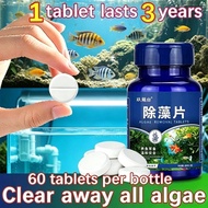 Algae Remover For Aquarium 60 tablets Non-harm the Fish Water purification Algae Remover
