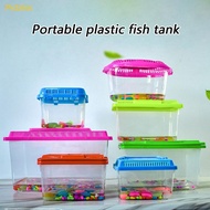 Picbliss Portable Lizards Habitat Box Ventilated Cover Detachable Lid Handheld Box
