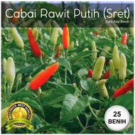 Benih / Biji Cabai Rawit Putih Sret - Cabe Rawit Putih Sret - 25 Biji