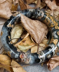 亞特蘭提斯之石 海洋碧玉 手鐲