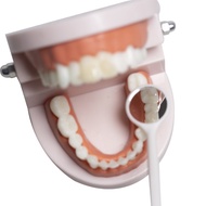 Disposable dental mirror, dental mirror