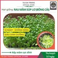 Broccoli sprouts seeds (Broccoli sprouts) - Ta Gia Trang sprout world