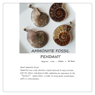 Ammonite Fossil Pendant / 斑彩螺吊坠