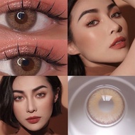 Softlens GRAY  cosplay Lensa Kontak Softlens Normal Contact Lens Softlen Brown Warna Soflens Soflen 