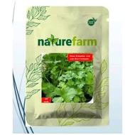 Coriander seeds (Asia Best Coriander) contains 200 seeds