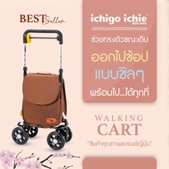 Walking Cart รถเข็นกระเป๋าใส่ของ รุ่น RS-200BR