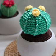 仙人掌單株盆栽中型盆