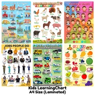 Kids Learning A4 Size Laminated Chart Transportation Farm Animals Fruits Jobs Community Buildings