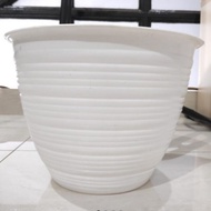 21CM Wasp Pot, Flower Pot, White Pot