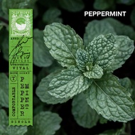 KARMAKAMET | Traditional Asian Perfume Sachet / Refill | คามาคาเมต ถุงหอม ตู้เสื้อผ้า ปรับอากาศ ผ่อน