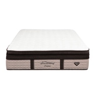 Spring Air (Four Seasons) Fauna 16 Pocketed Spring Mattress with Latex