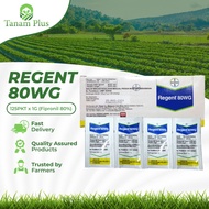 [125pkt x 1GM] Regent 80WG Bayer Racun Semut Anai Insecticide Fipronil 80%