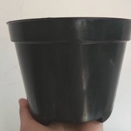 Pot Size 17 cm