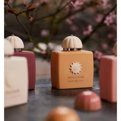 100ml AMOUAGE Women Eau De Parfum Long Lasting Elegant Feminine Scent Soft Warm Unique Fragrance wit