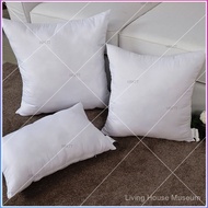 Sofa pillow insert 45x45, cushion insert, large cushion insert 50x60, square, removable and washable